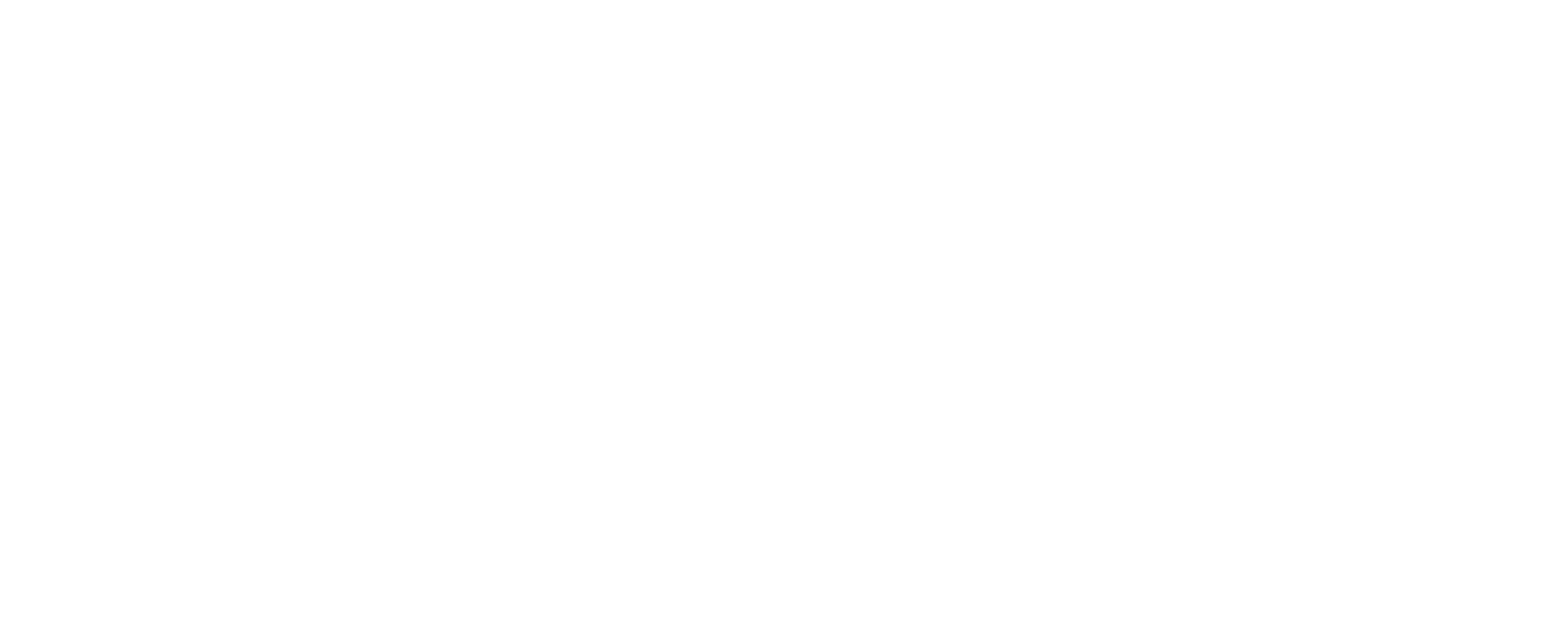 Roam Finance Logo